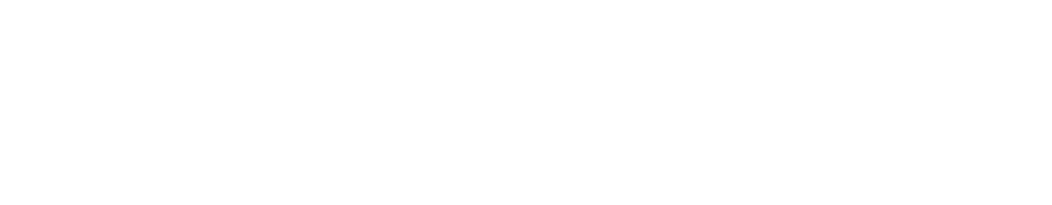 Dommo Health